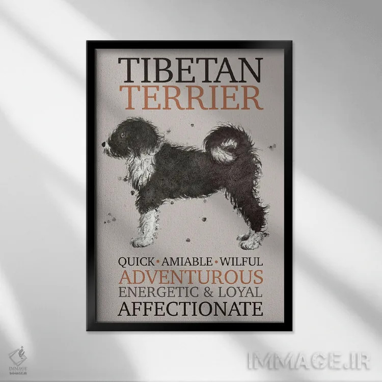 تابلو دکوراتیو ویژگی های سگ تریر تبت اثر میشل کمپل - نمای قابدار مشکی