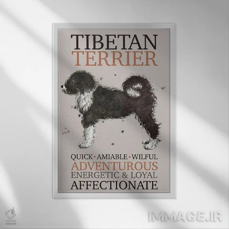 تابلو دکوراتیو ویژگی های سگ تریر تبت اثر میشل کمپل - نمای قابدار سفید