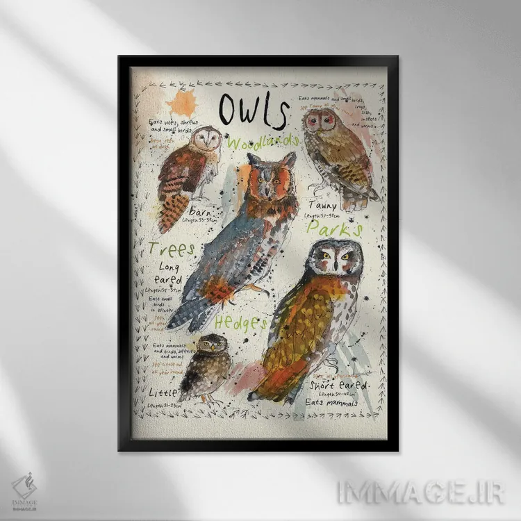 تابلو مدرن جغدها اثر میشل کمپل - نمای قابدار مشکی