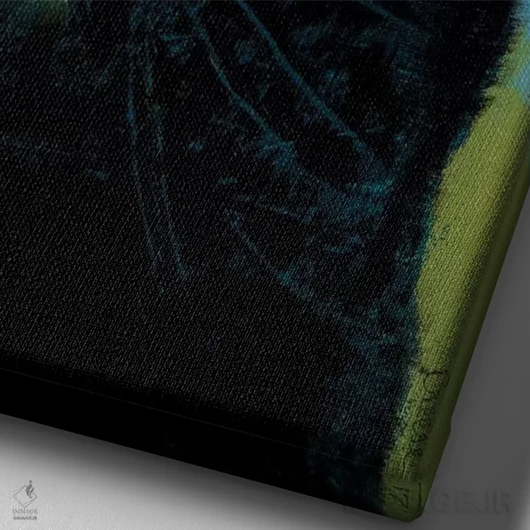 تابلو دکوراتیو پروانه گربه سیاه اثر مایکل کریس - نمای نزدیک بافت بوم