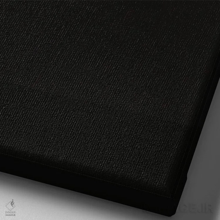 تابلو دکوراتیو خفاش اثر مایکل کریس - نمای نزدیک بافت بوم