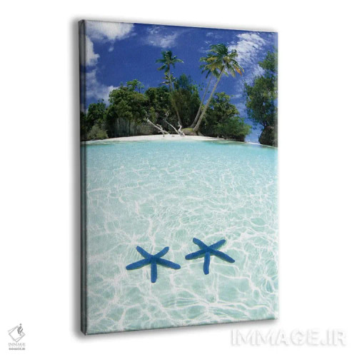 تابلو دکوراتیو دو ستاره دریایی در آب کم عمق، جزایر راک، پالائو اثر مایکل دفریتاس - نمای پرسپکتیو محصول