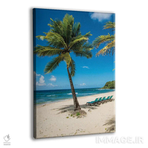 تابلو دکوراتیو ساحل ریزورت کارامبولا، سنت کروآ، جزایر ویرجین آمریکا اثر مایکل دفریتاس - نمای پرسپکتیو محصول
