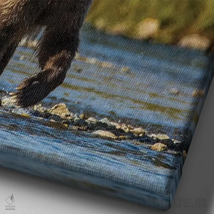 تابلو دکوراتیو خرس گریزلی یا قهوه ای ، رودخانه مورین، پارک و منطقه حفاظت… اثر مایکل دفریتاس - نمای نزدیک بافت بوم