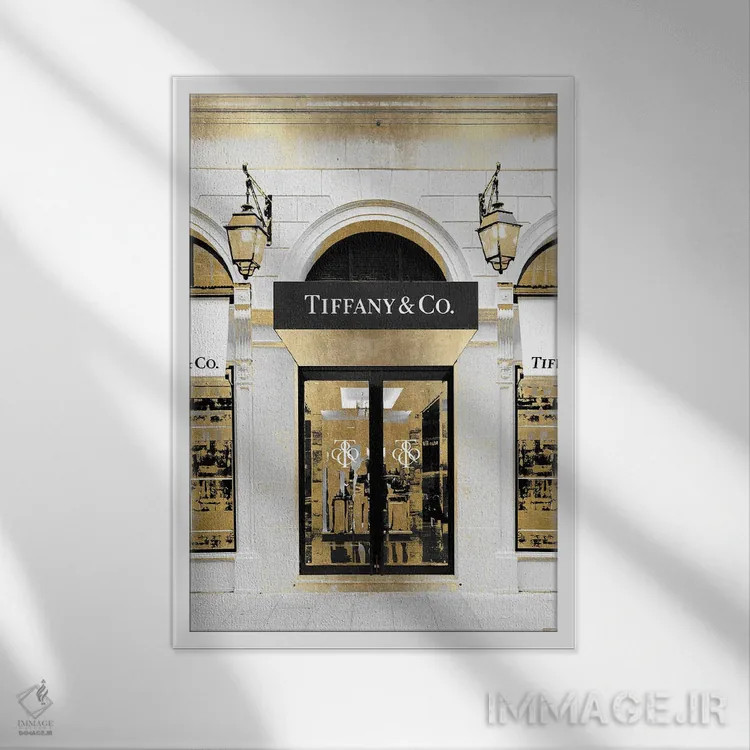 تابلو دکوراتیو ورودی طراح IX اثر مدلین بلیک - نمای قابدار سفید