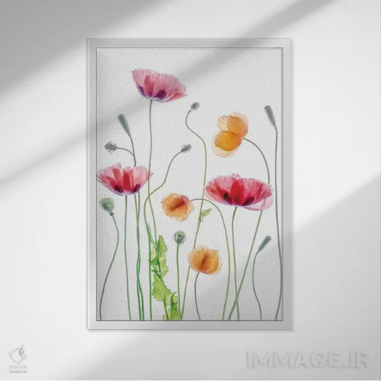 تابلو دکوراتیو شقایق ها اثر مندی دیشر - نمای قابدار سفید