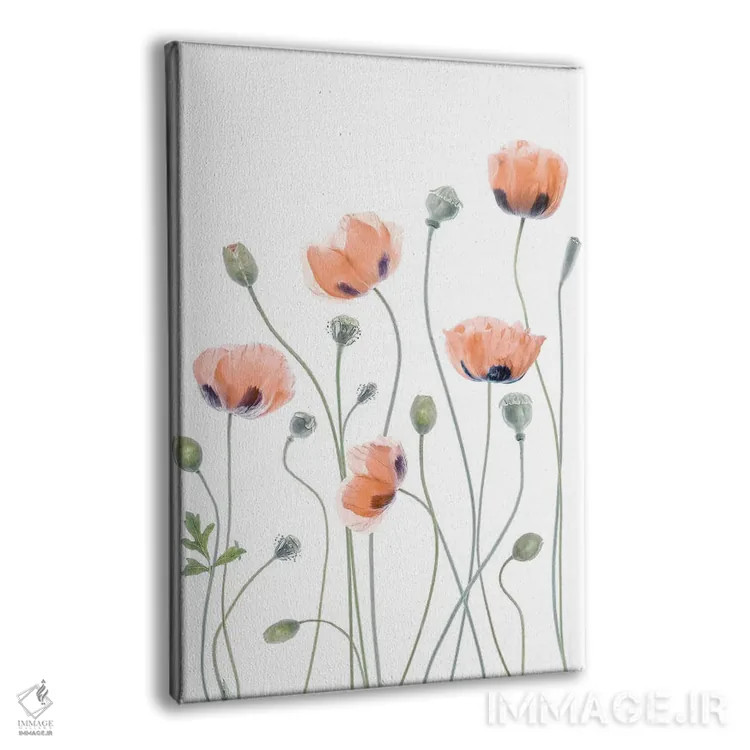 تابلو دکوراتیو شقایق ها اثر مندی دیشر - نمای پرسپکتیو محصول