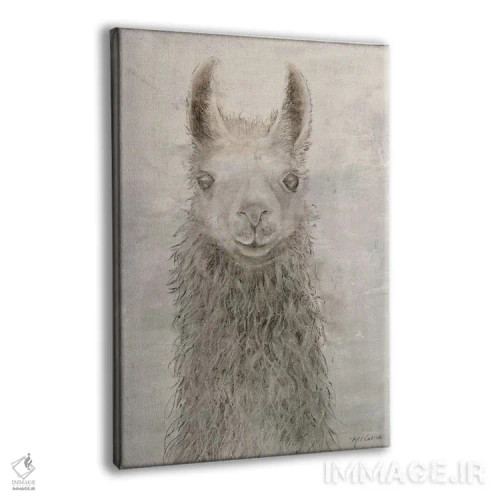تابلو دکوراتیو پرتره لاما اثر ماری الین کوسون - نمای پرسپکتیو محصول