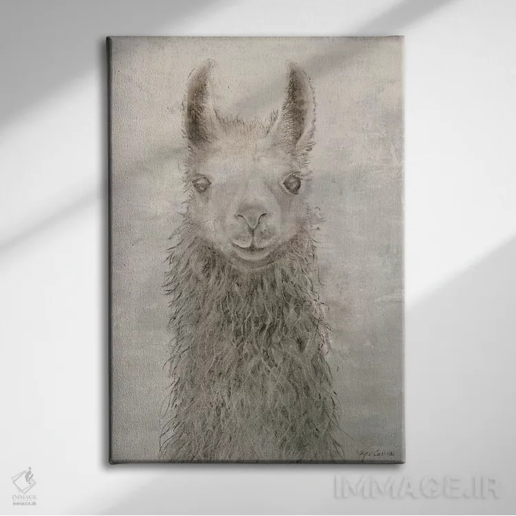 تابلو دکوراتیو پرتره لاما اثر ماری الین کوسون - نمای روبهرو روی دیوار