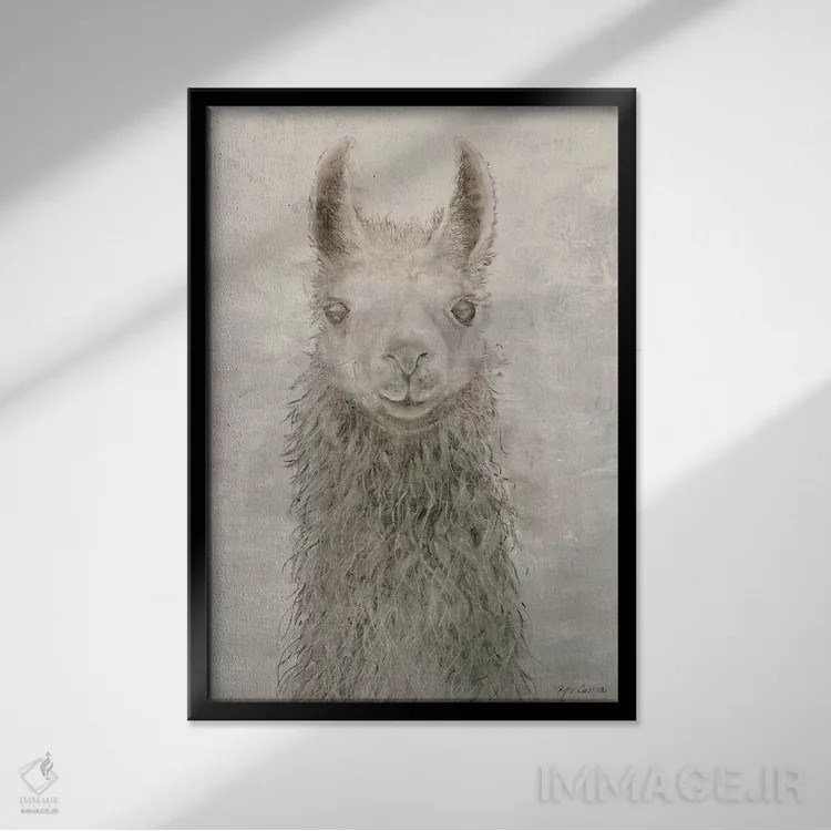 تابلو دکوراتیو پرتره لاما اثر ماری الین کوسون - نمای قابدار مشکی