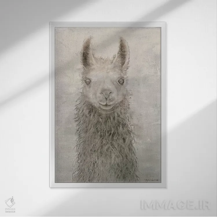 تابلو دکوراتیو پرتره لاما اثر ماری الین کوسون - نمای قابدار سفید