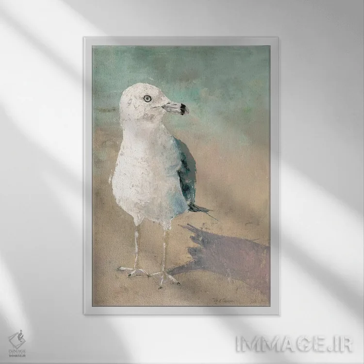 تابلو دکوراتیو پرنده ی ساحلی اثر ماری الین کوسون - نمای قابدار سفید