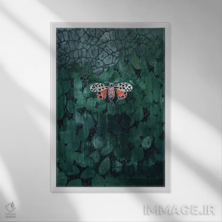 تابلو مدرن شب پره روی برگ ها اثر میری اشت - نمای قابدار سفید