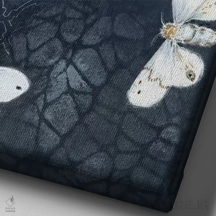 تابلو مدرن شب پره های شبانه اثر میری اشت - نمای نزدیک بافت بوم