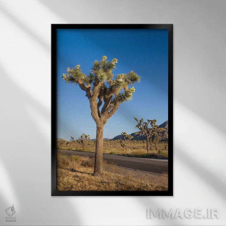 تابلو دکوراتیو درخت جاشوا کنار بلوار پارک اثر ملانی ویولا - نمای قابدار مشکی