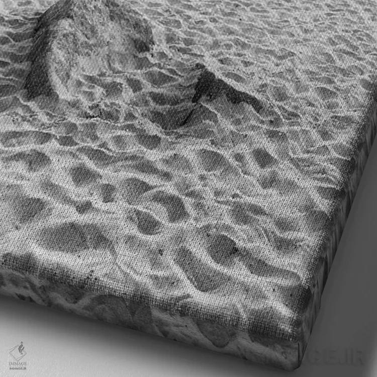 تابلو دکوراتیو ساحل امپریال کالیفرنیا به صورت تک رنگ اثر ملانی ویولا - نمای نزدیک بافت بوم