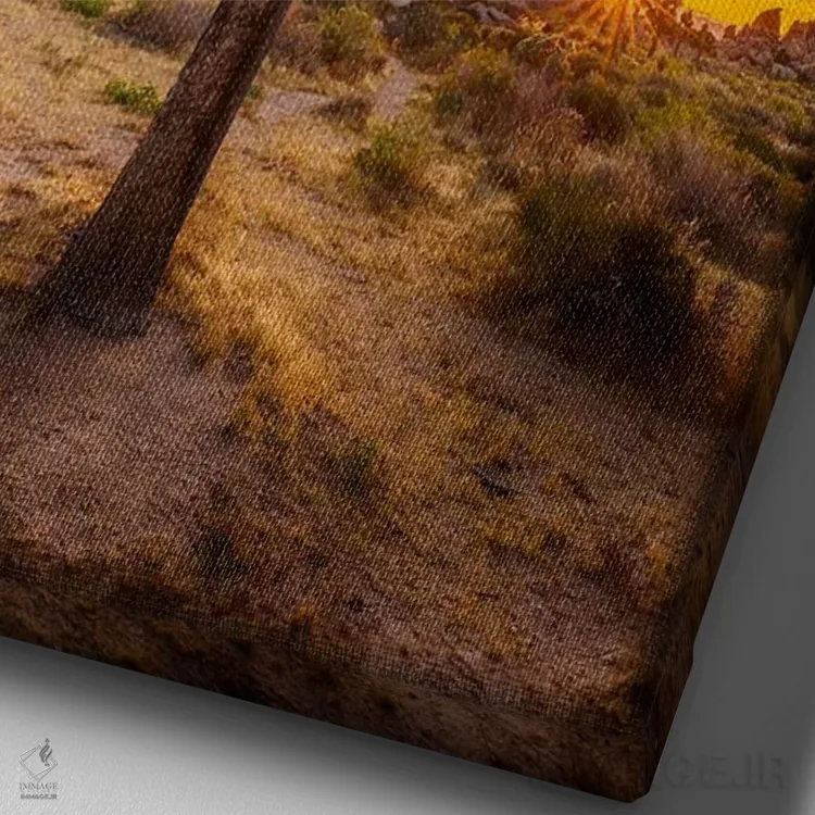 تابلو دکوراتیو غروب دلنشین در پارک ملی جاشوا تری اثر ملانی ویولا - نمای نزدیک بافت بوم