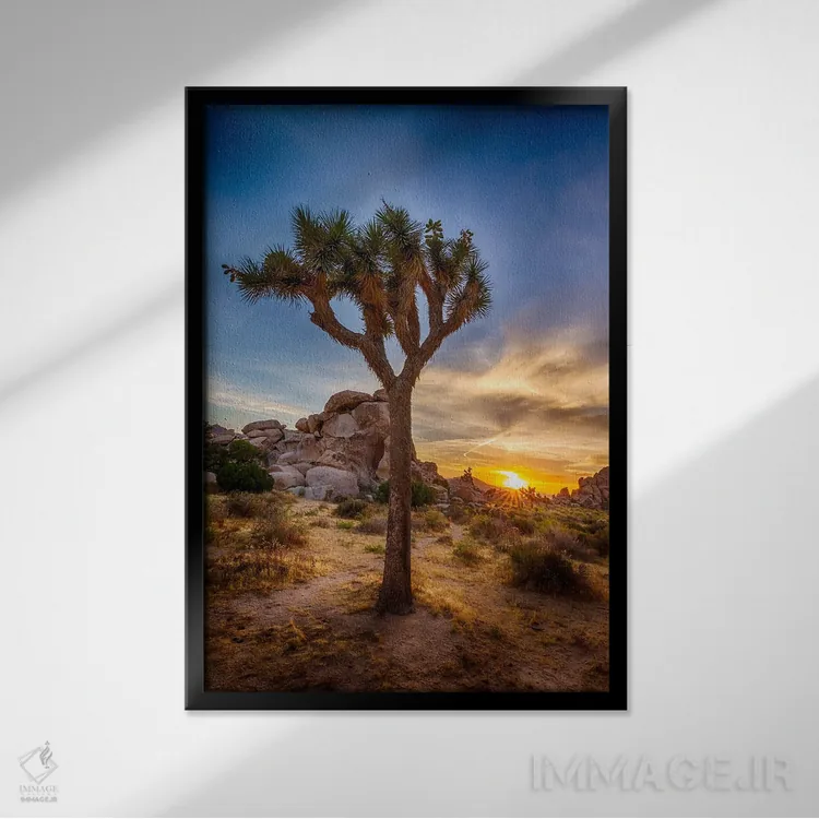تابلو دکوراتیو غروب دلنشین در پارک ملی جاشوا تری اثر ملانی ویولا - نمای قابدار مشکی