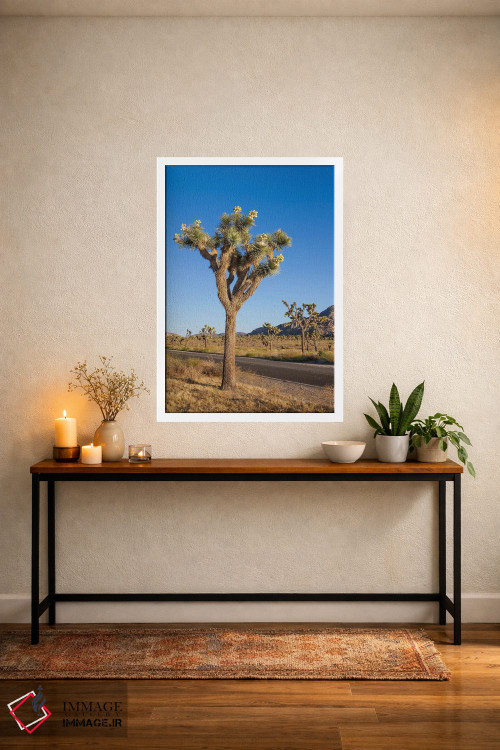 تابلو دکوراتیو درخت جاشوا کنار بلوار پارک اثر ملانی ویولا - D3W