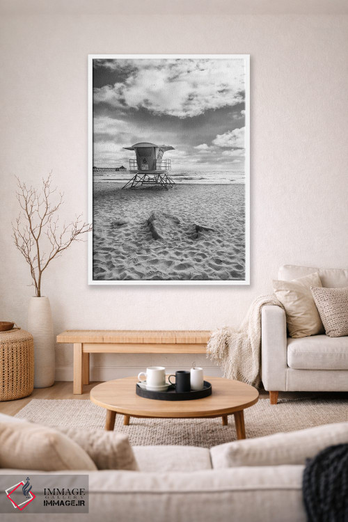 تابلو دکوراتیو ساحل امپریال کالیفرنیا به صورت تک رنگ اثر ملانی ویولا - D1W