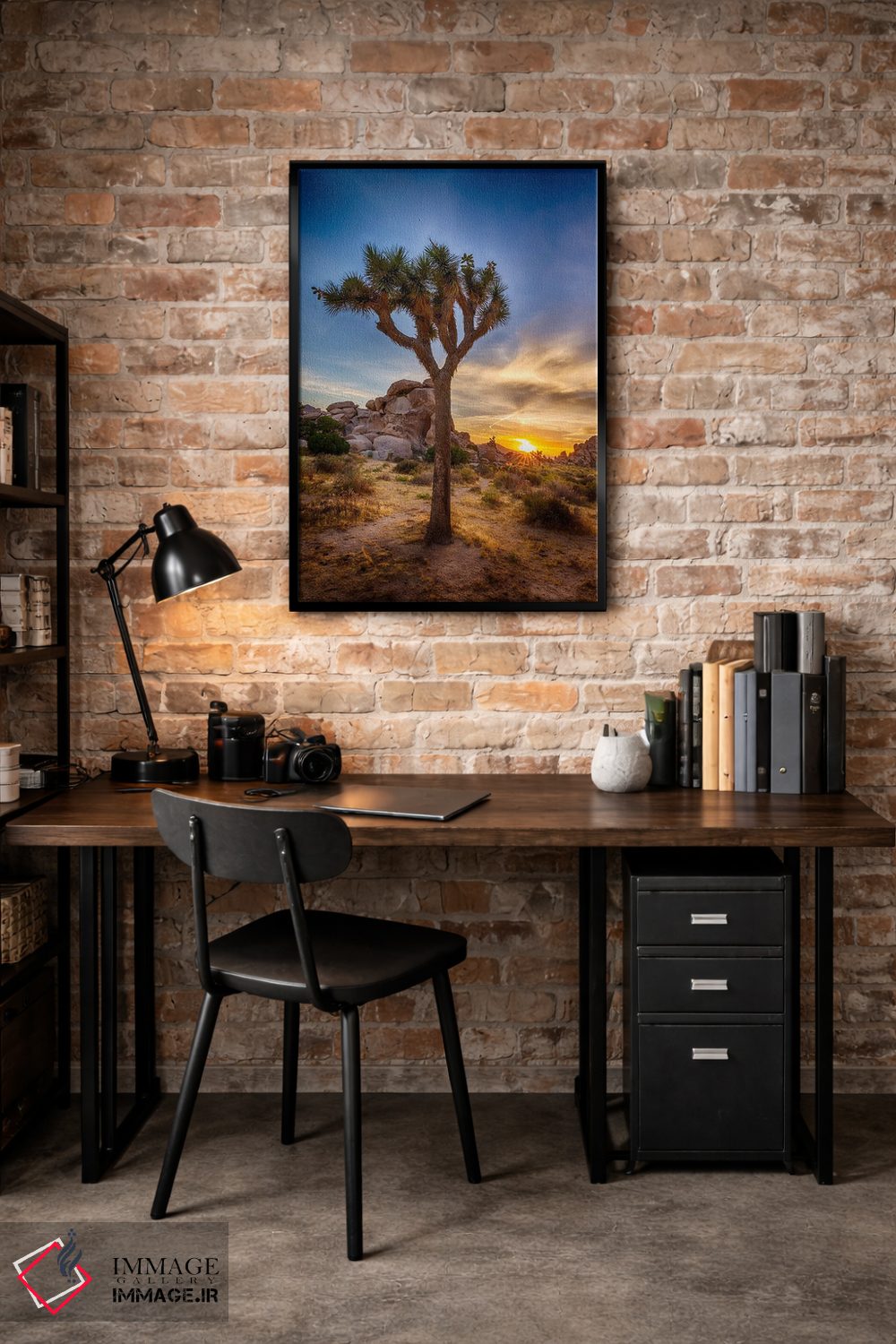 تابلو دکوراتیو غروب دلنشین در پارک ملی جاشوا تری اثر ملانی ویولا - D4B