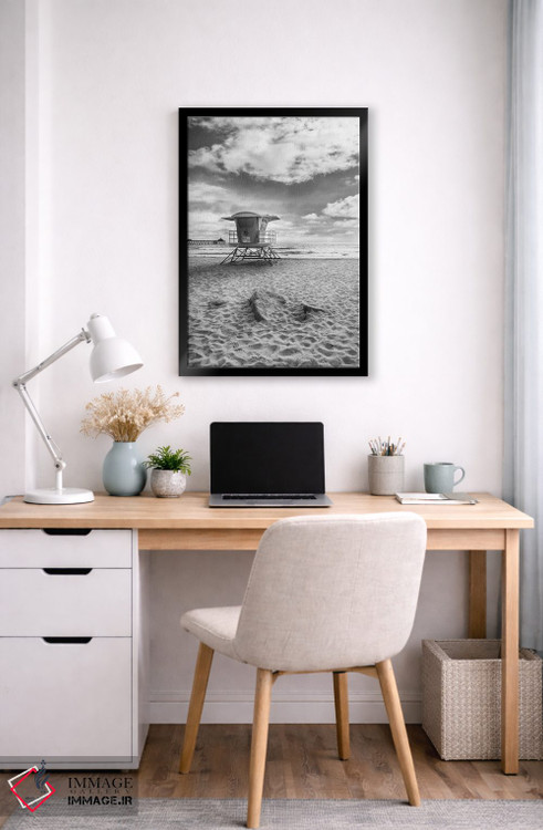 تابلو دکوراتیو ساحل امپریال کالیفرنیا به صورت تک رنگ اثر ملانی ویولا - D5B