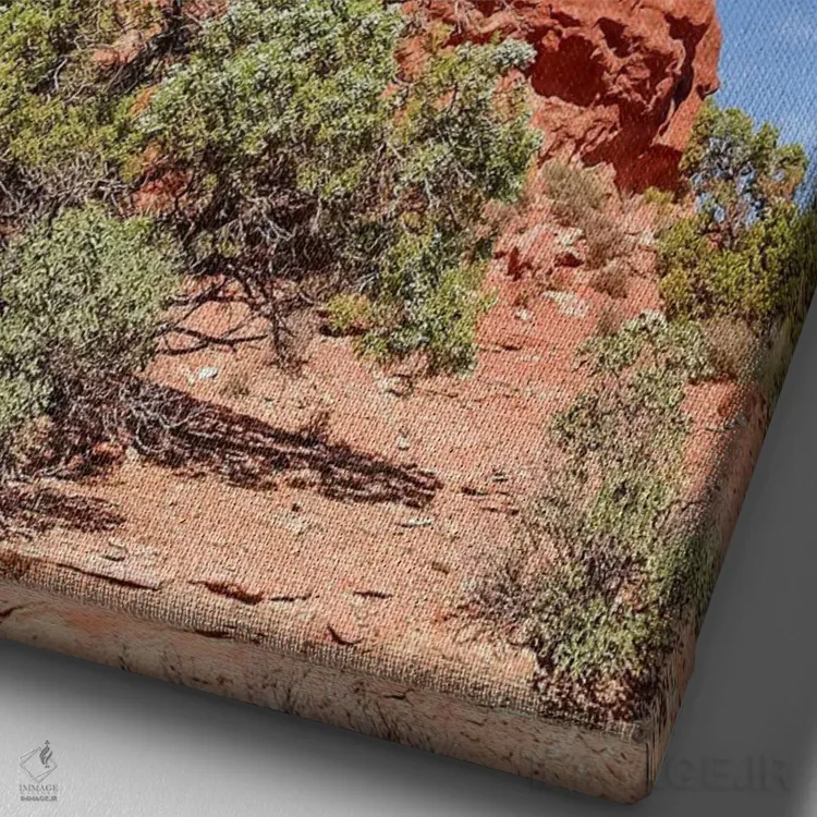 تابلو دکوراتیو صخره متعادل در پارک ملی آرچز اثر ملانی ویولا - نمای نزدیک بافت بوم