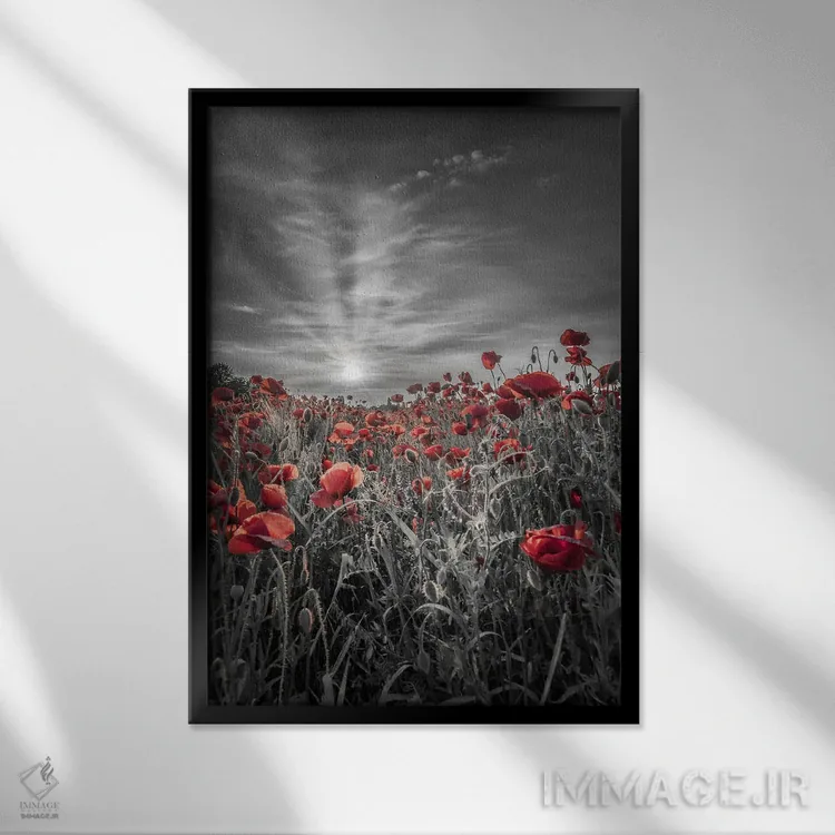 تابلو دکوراتیو غروب دل انگیز در مزرعه شقایق اثر ملانی ویولا - نمای قابدار مشکی