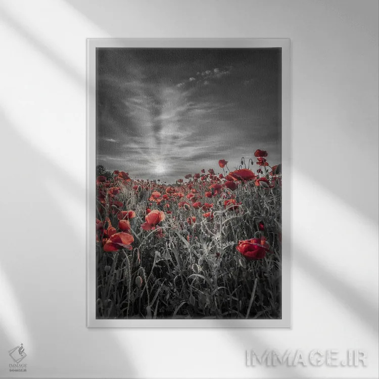 تابلو دکوراتیو غروب دل انگیز در مزرعه شقایق اثر ملانی ویولا - نمای قابدار سفید