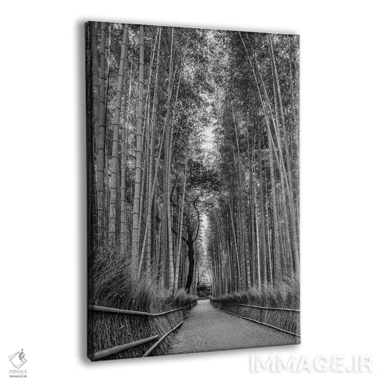 تابلو دکوراتیو جنگل باشکوه بامبوی آراشی یاما اثر ملانی ویولا - نمای پرسپکتیو محصول