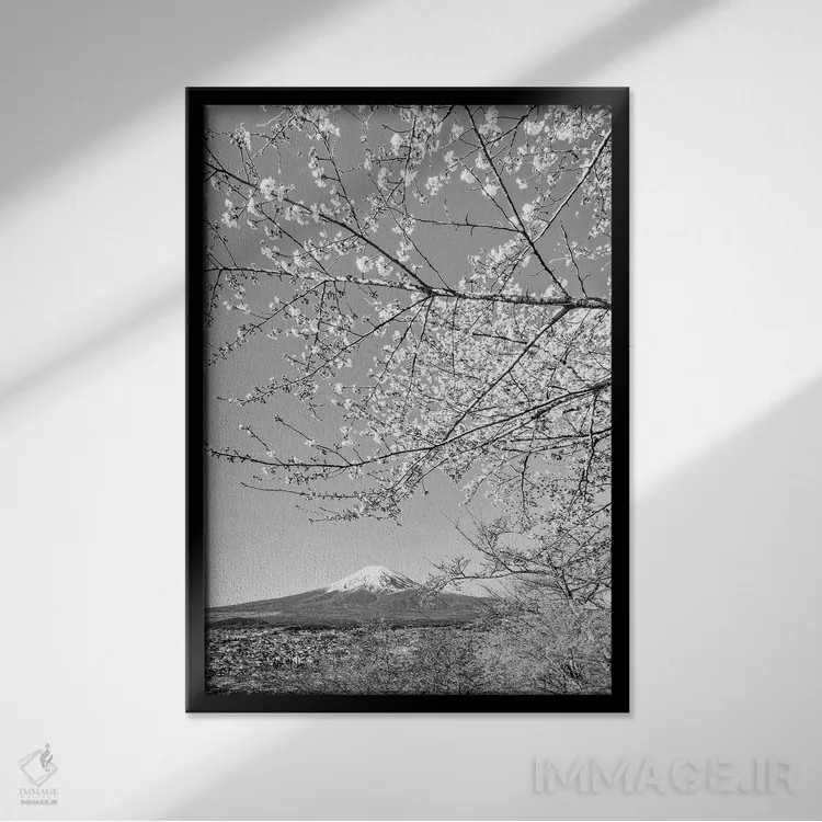 تابلو دکوراتیو منظره دل انگیز فوجی با شکوفه های گیلاس اثر ملانی ویولا - نمای قابدار مشکی