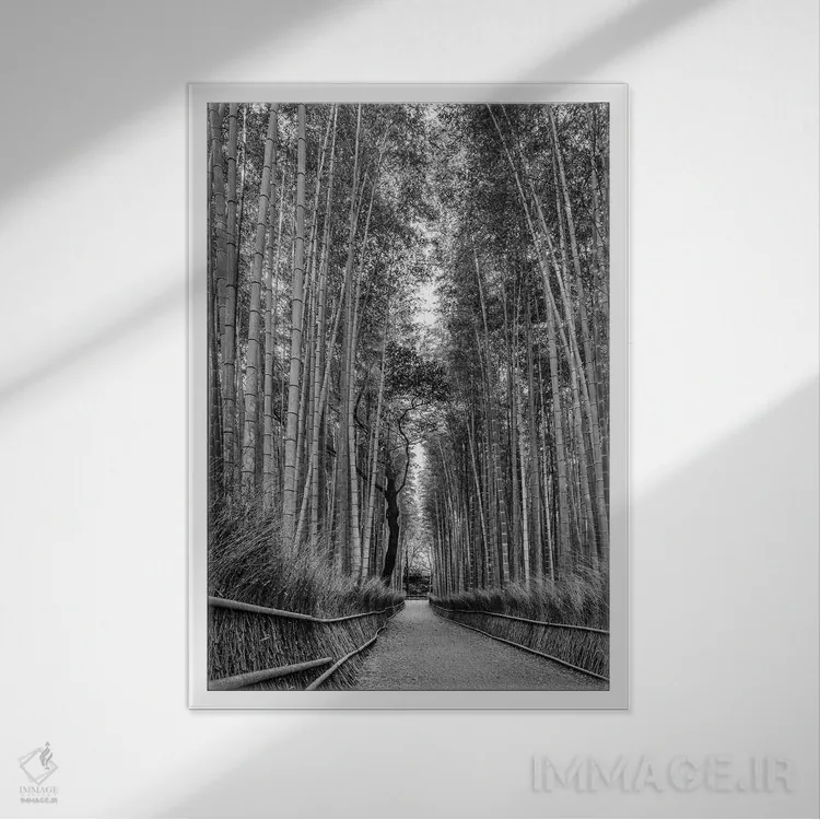 تابلو دکوراتیو جنگل باشکوه بامبوی آراشی یاما اثر ملانی ویولا - نمای قابدار سفید