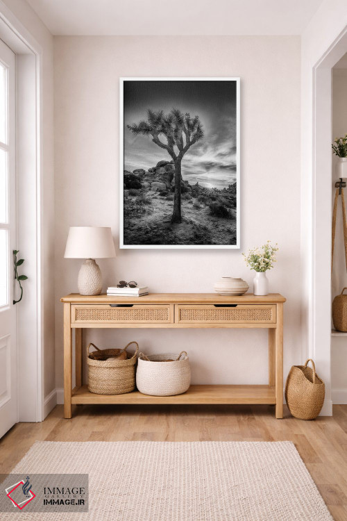 تابلو دکوراتیو غروب دل انگیز در پارک ملی جاشوا تری اثر ملانی ویولا - D6W