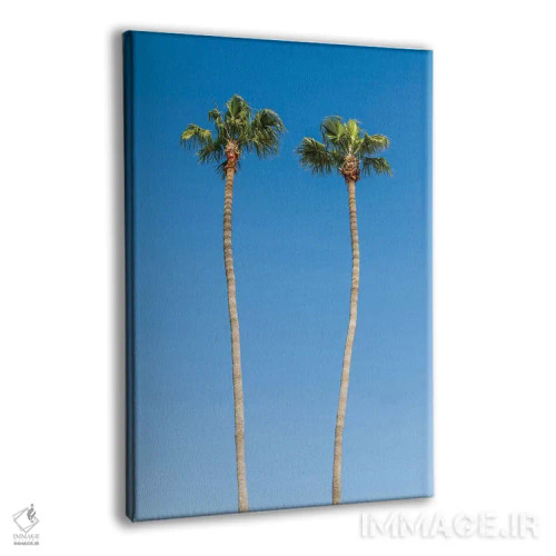 تابلو دکوراتیو درختان نخل اثر ملانی ویولا - نمای پرسپکتیو محصول