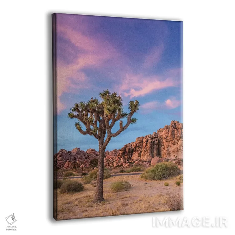 تابلو دکوراتیو فضای عصرگاهی جاشوا تری اثر ملانی ویولا - نمای پرسپکتیو محصول