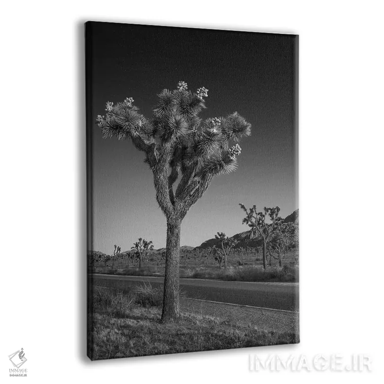 تابلو دکوراتیو بلوار پارک و جاشوا تری اثر ملانی ویولا - نمای پرسپکتیو محصول