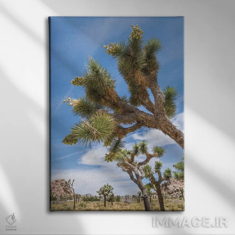 تابلو دکوراتیو پارک ملی زیبای جاشوا تری اثر ملانی ویولا - نمای روبهرو روی دیوار