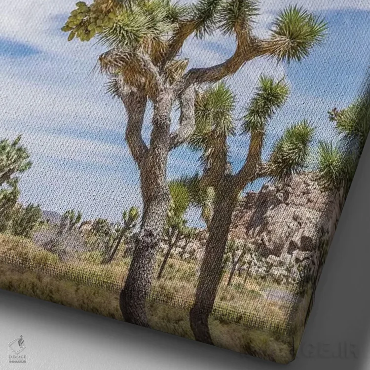 تابلو دکوراتیو پارک ملی زیبای جاشوا تری اثر ملانی ویولا - نمای نزدیک بافت بوم