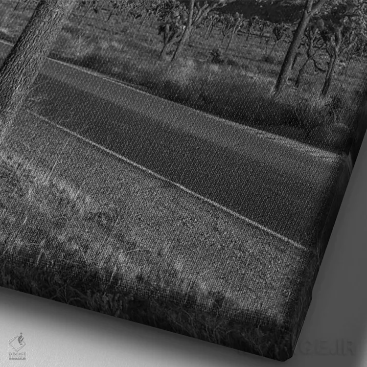 تابلو دکوراتیو بلوار پارک و جاشوا تری اثر ملانی ویولا - نمای نزدیک بافت بوم