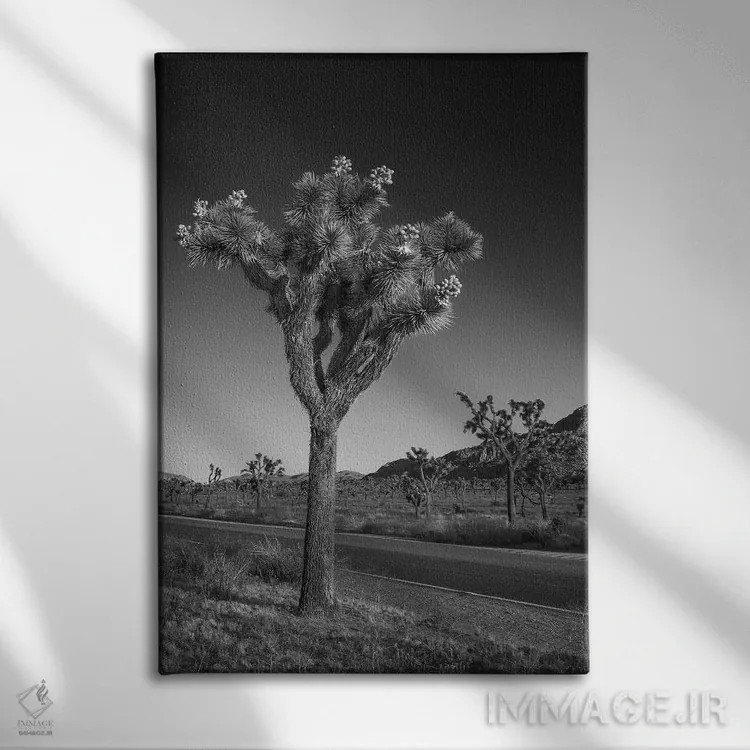 تابلو دکوراتیو بلوار پارک و جاشوا تری اثر ملانی ویولا - نمای روبهرو روی دیوار