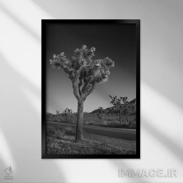 تابلو دکوراتیو بلوار پارک و جاشوا تری اثر ملانی ویولا - نمای قابدار مشکی