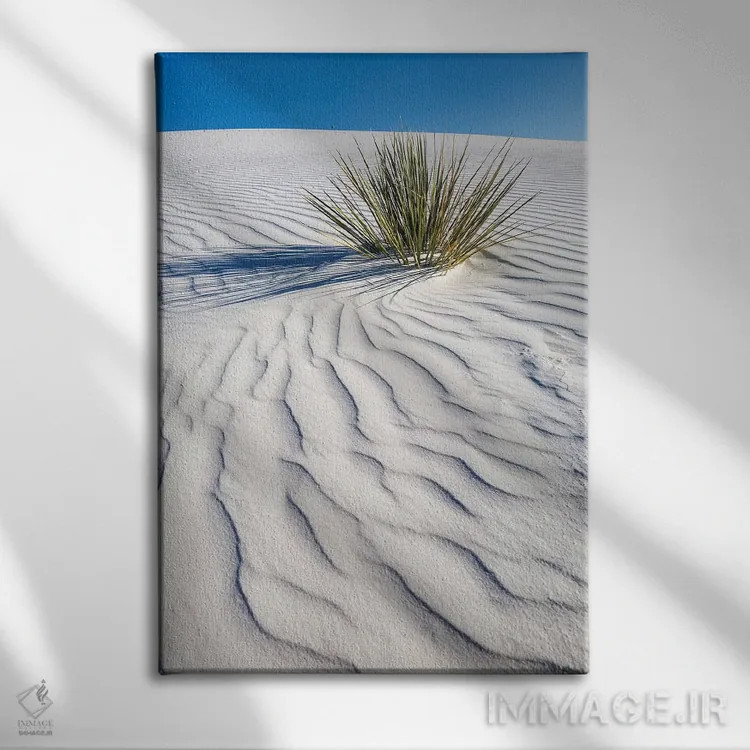 تابلو دکوراتیو تپه شنی وایت سندز اثر ملانی ویولا - نمای روبهرو روی دیوار