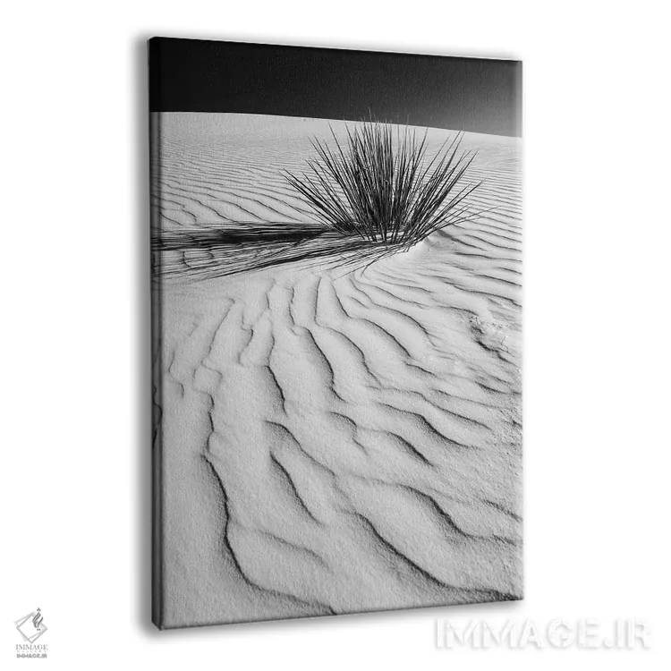 تابلو دکوراتیو تپه شنی وایت سندز اثر ملانی ویولا - نمای پرسپکتیو محصول