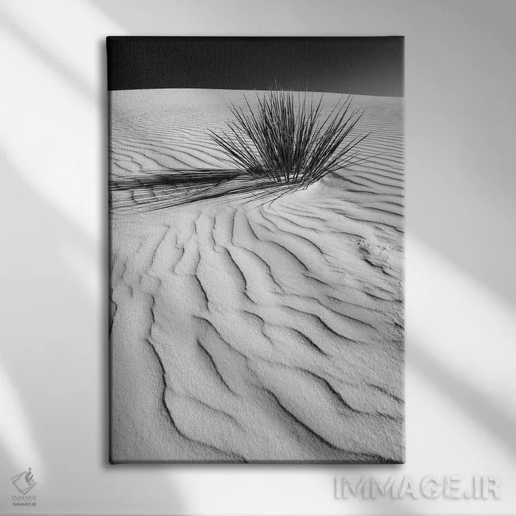 تابلو دکوراتیو تپه شنی وایت سندز اثر ملانی ویولا - نمای روبهرو روی دیوار