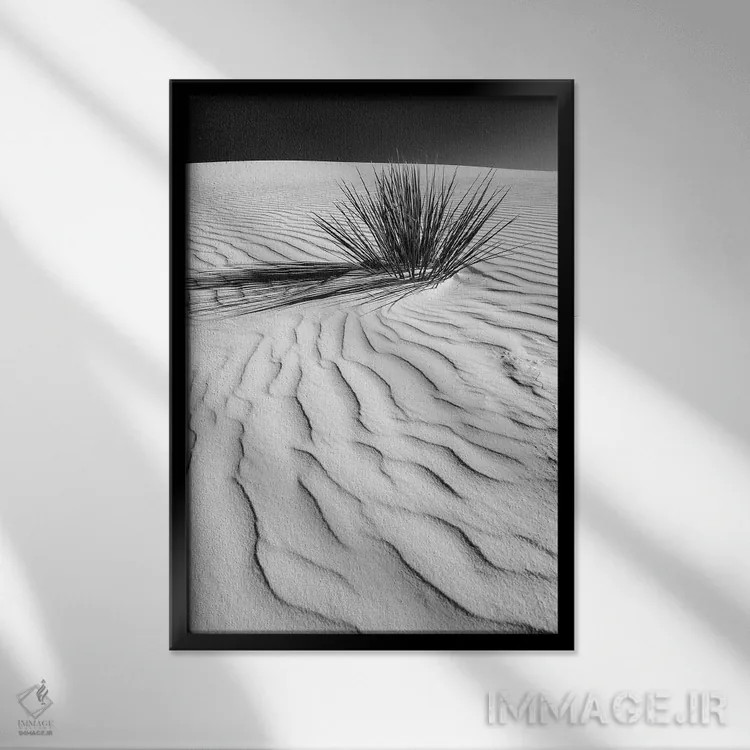 تابلو دکوراتیو تپه شنی وایت سندز اثر ملانی ویولا - نمای قابدار مشکی