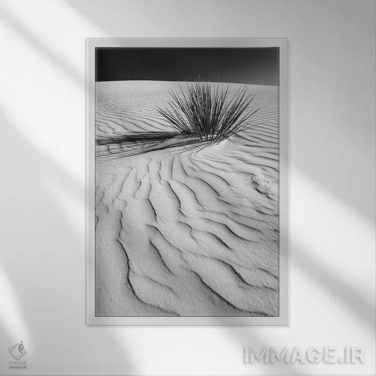تابلو دکوراتیو تپه شنی وایت سندز اثر ملانی ویولا - نمای قابدار سفید