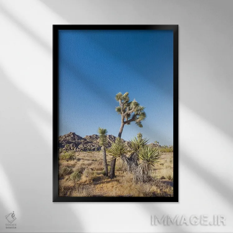 تابلو دکوراتیو پارک ملی طبیعی جاشوا تری اثر ملانی ویولا - نمای قابدار مشکی