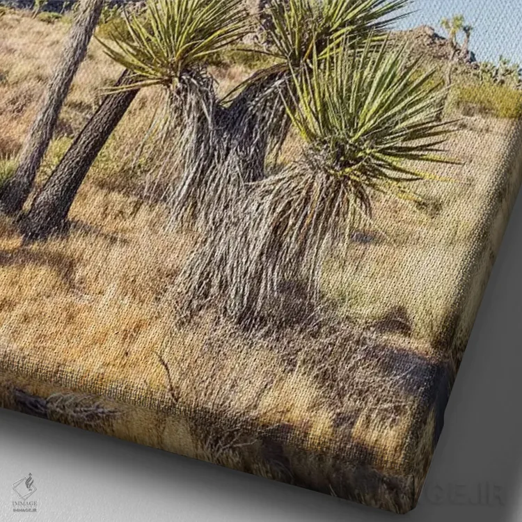 تابلو دکوراتیو پارک ملی طبیعی جاشوا تری اثر ملانی ویولا - نمای نزدیک بافت بوم