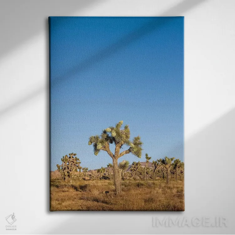 تابلو دکوراتیو درختان جاشوا اثر ملانی ویولا - نمای روبهرو روی دیوار