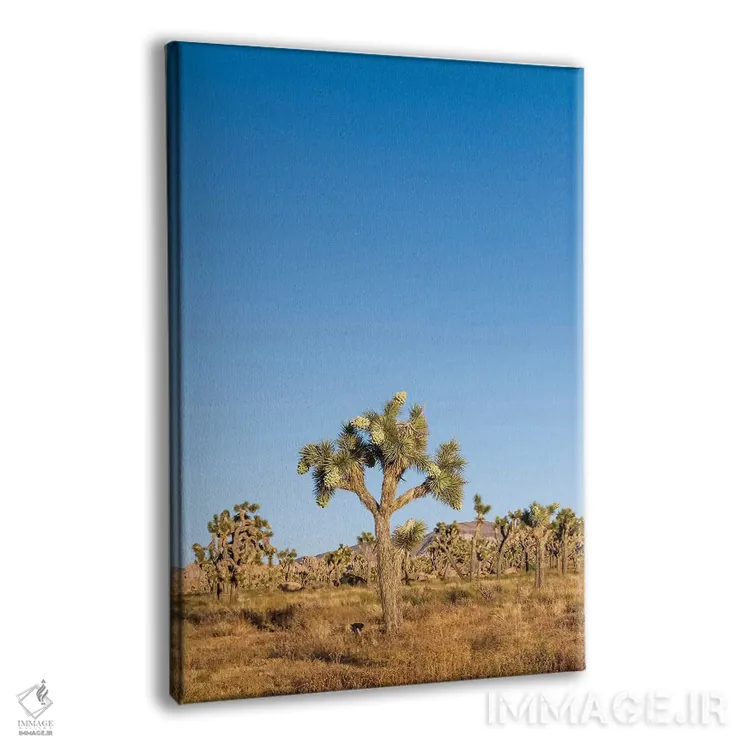 تابلو دکوراتیو درختان جاشوا اثر ملانی ویولا - نمای پرسپکتیو محصول